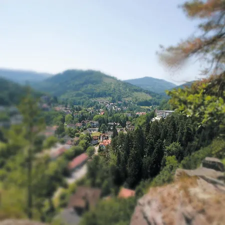 Schwarzwald Panorama-3